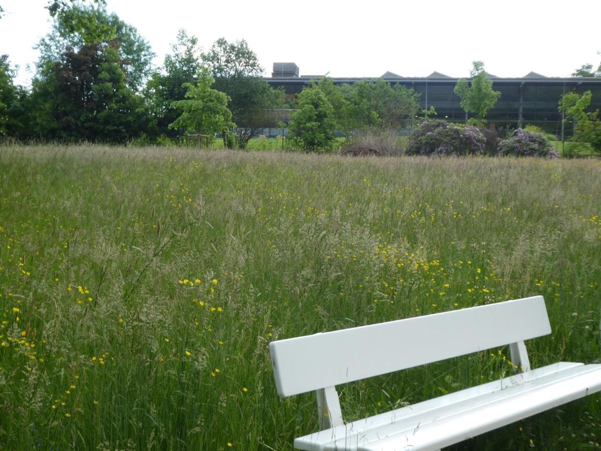 Ferienwohnung Am Hirschpark Bad Pyrmont Εξωτερικό φωτογραφία